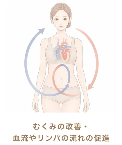 むくみの改善・血流やリンパの流れの促進