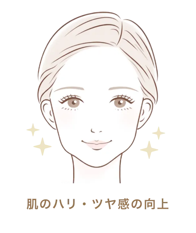 肌のハリ・ツヤ感の向上