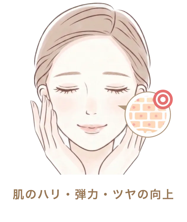 肌のハリ・弾力・ツヤの向上