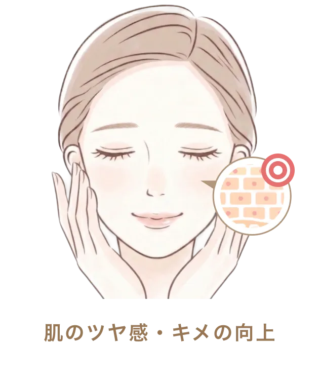 肌のツヤ感・キメの向上