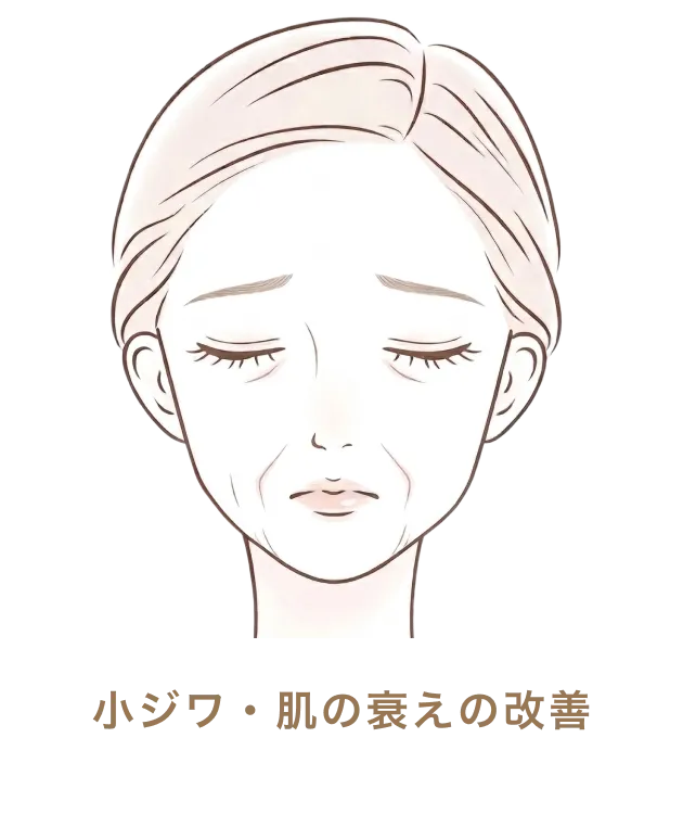 小ジワ・肌の衰えの改善
