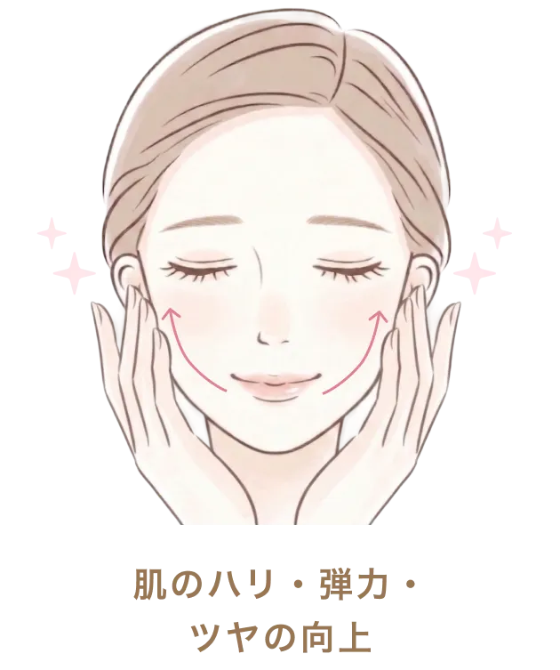 肌のハリ・弾力・ツヤの向上