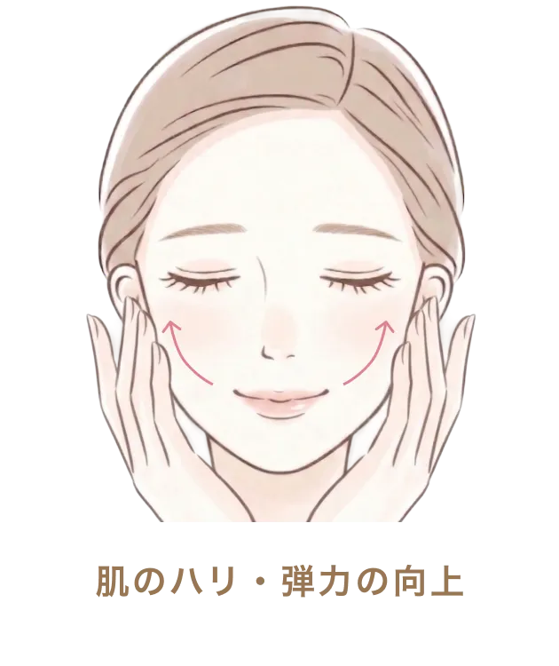 肌のハリ・弾力の向上