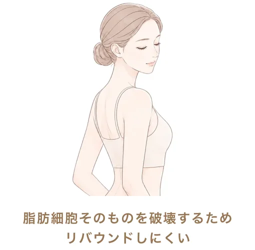 脂肪細胞そのものを破壊するためリバウンドしにくい