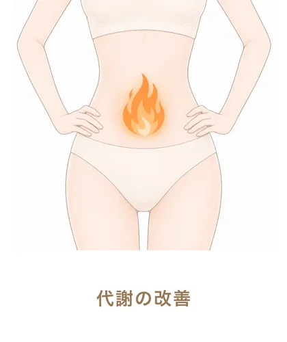代謝の改善