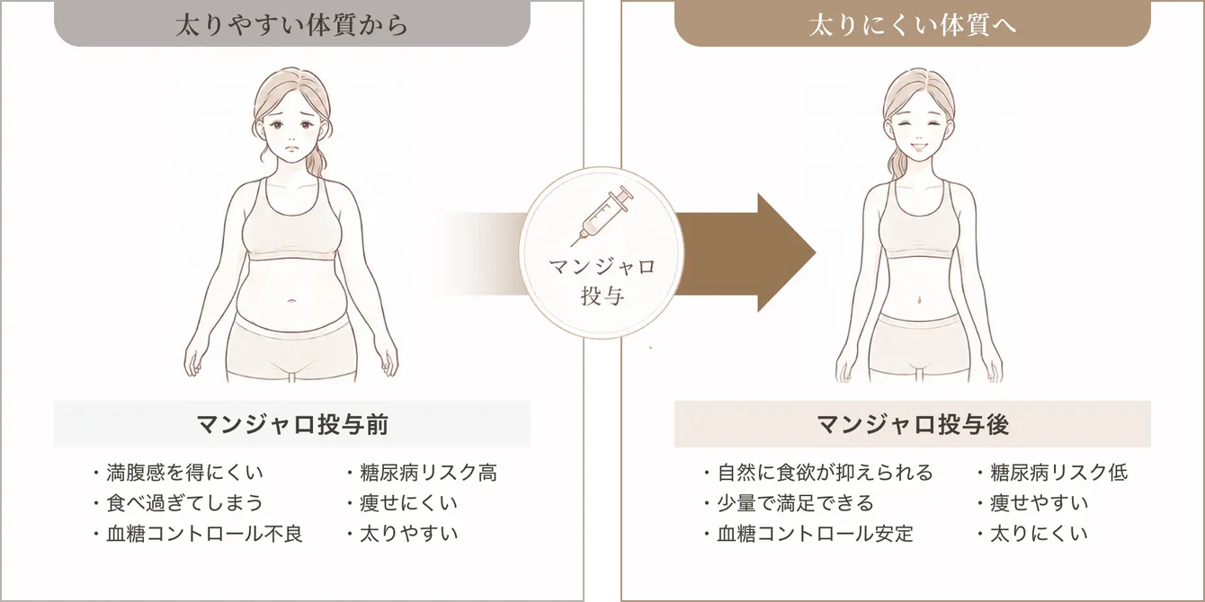 マンジャロ投与前（満腹感を得にくい・食べ過ぎてしまう・血糖コントロール不良・糖尿病リスク高・痩せにくい・太りやすい）と、投与後（自然に食欲が抑えられる・少量で満足できる・血糖コントロール安定・糖尿病リスク低・痩せやすい・太りにくい）の比較図