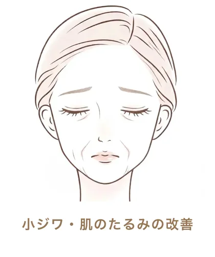 小ジワ・肌のたるみの改善