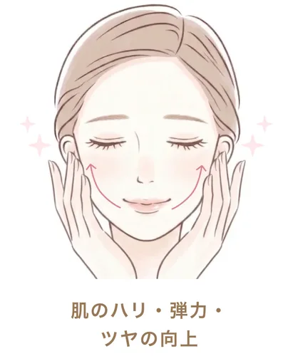 肌のハリ・弾力・ツヤの向上