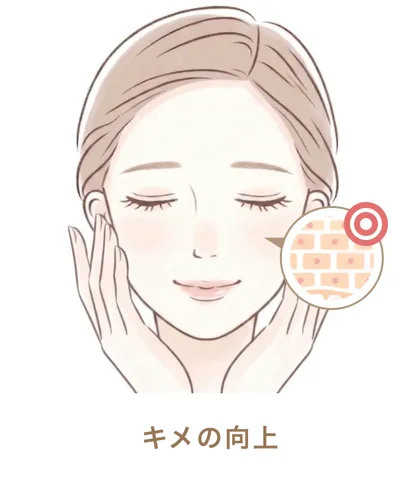 キメの向上