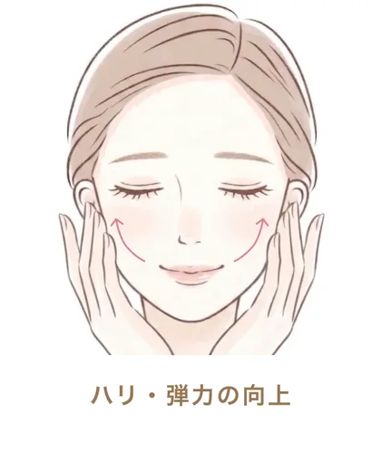 ハリ・弾力の向上