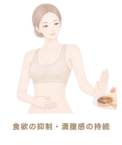食欲の抑制・満腹感の持続