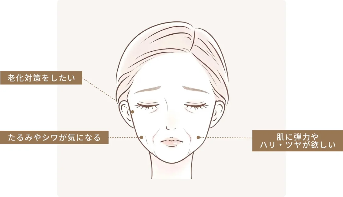 老化対策をしたい／たるみやシワが気になる／肌に弾力やハリ・ツヤが欲しい