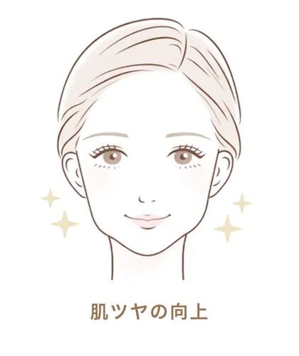 肌ツヤの向上