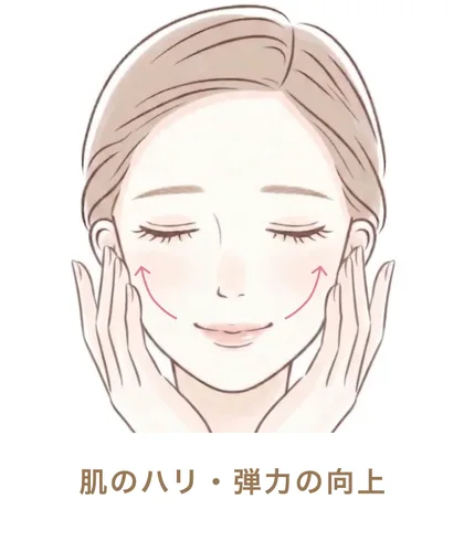 肌のハリ・弾力の向上