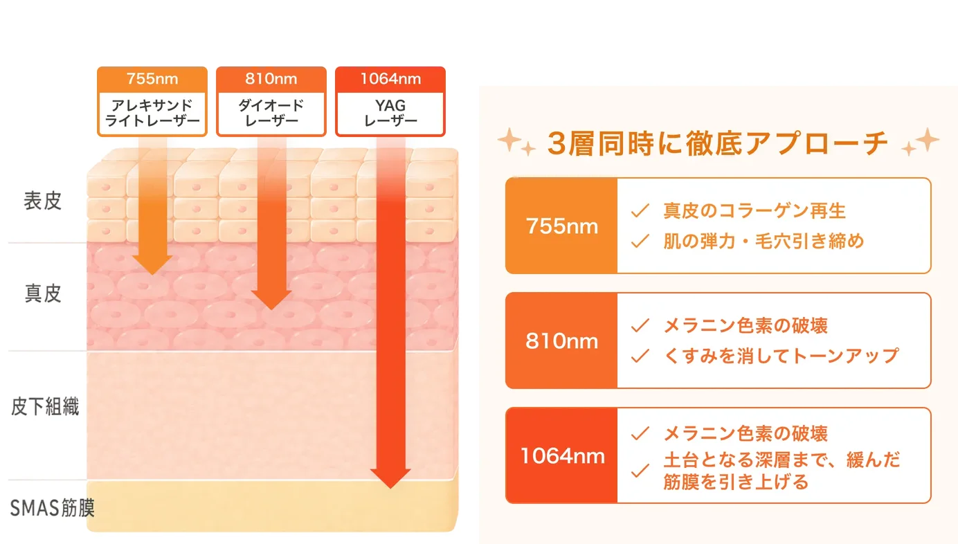 3層同時に徹底アプローチ。755nm（アレキサンドライトレーザー）は真皮のコラーゲン再生・肌の弾力・毛穴引き締め、810nm（ダイオードレーザー）はメラニン色素の破壊・くすみを消してトーンアップ、1064nm（YAGレーザー）はメラニン色素の破壊・土台となる深層まで緩んだ筋膜を引き上げる。表皮・真皮・皮下組織・SMAS筋膜への到達深度を示した図