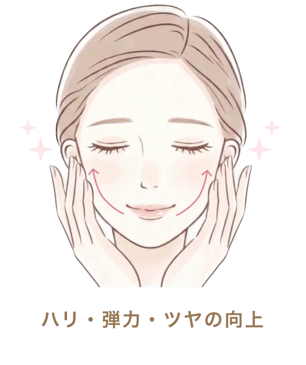 ハリ・弾力・ツヤの向上